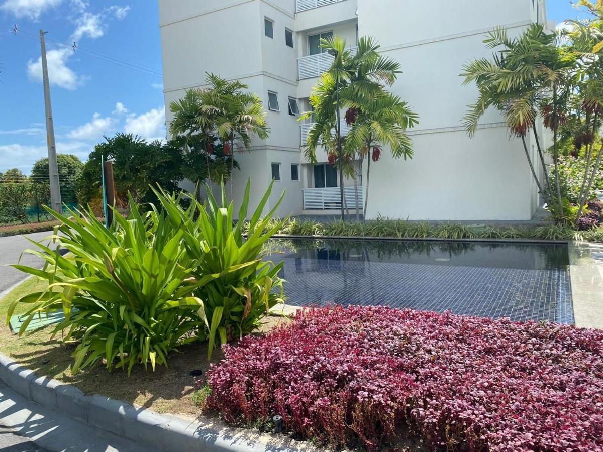 Flat Palm Village Acqua 伊波茹卡 外观 照片
